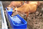 Serbatoio di acqua di plastica del bestiame della prova L13ft 260L della gelata