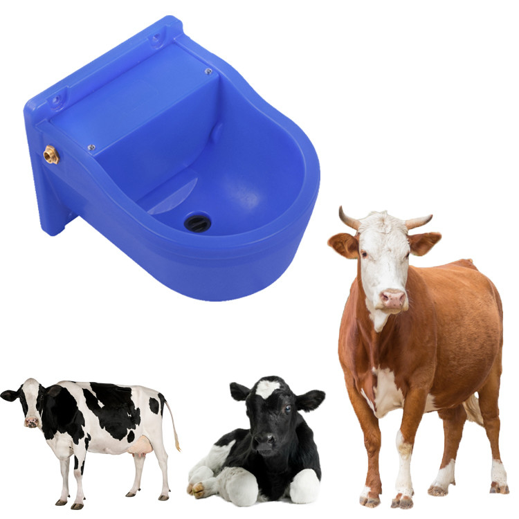 Acqua da allevamento per bovini, bovini, cavalli e pecore