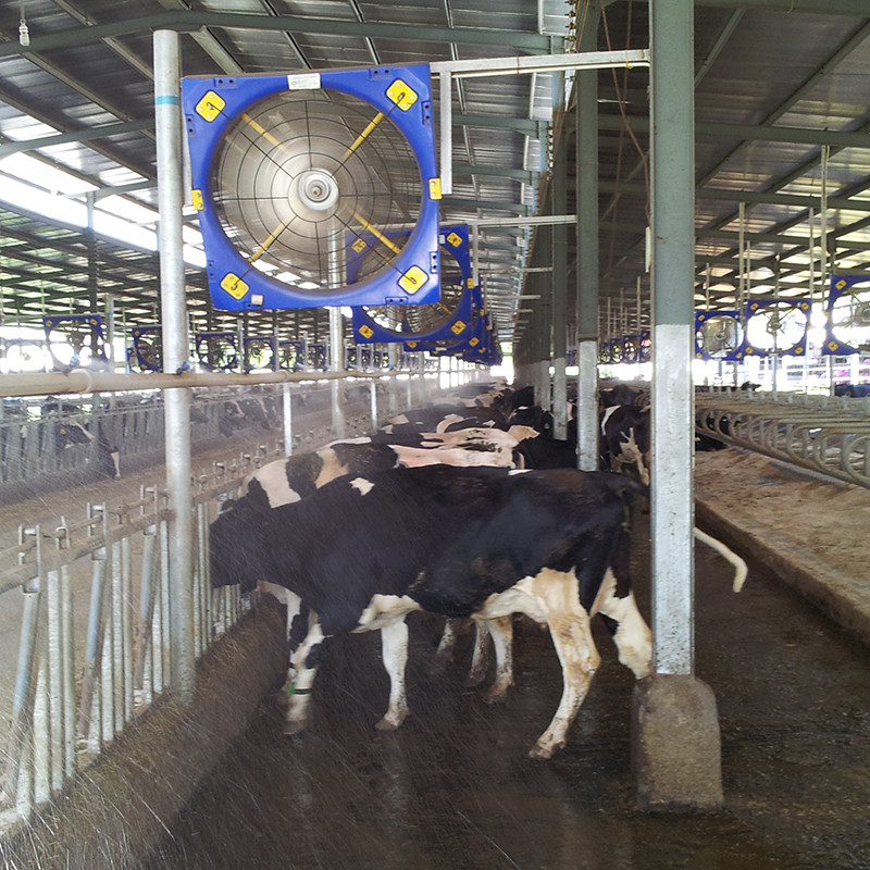 Ventilatori a doppio strato PE per bestiame con telaio in acciaio galvanizzato con motore PMSM - 28273m3/h Volume dell'aria