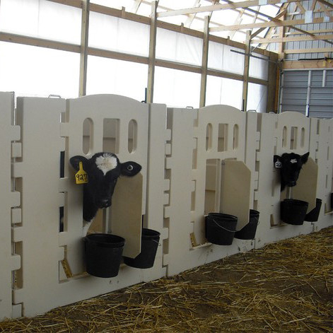 Penna per vitelli di alta qualità in LLDPE bianco La scelta ideale per un allevamento sicuro e confortevole