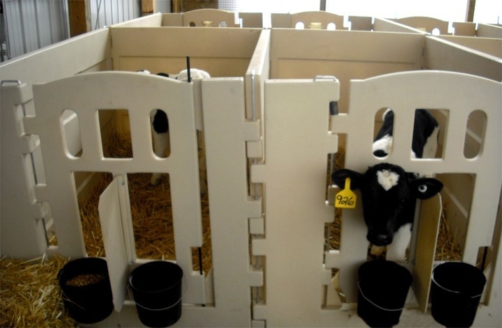 Penna per vitelli di alta qualità in LLDPE bianco La scelta ideale per un allevamento sicuro e confortevole