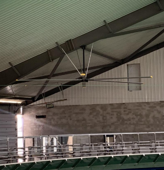 Ventilatore di soffitto industriale a risparmio energetico con motore del rotore esterno di protezione IP55 e volume d'aria di 9,53 m3/min