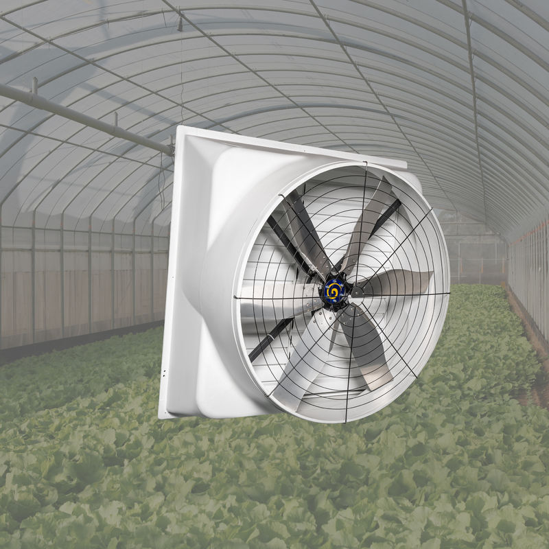 Potente ventilatore di pollame 850w Potenza di ingresso Velocità dell'aria vite al telaio sul muro