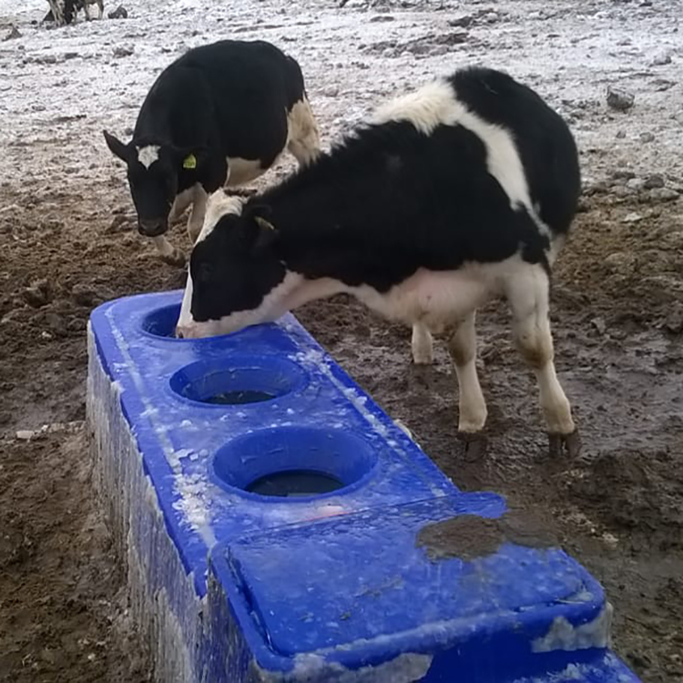 400*67*68cm/13.1*2.2*2.2 Serbatoio di acqua per animali da allevamento in polietilene resistente agli urti pesanti in blu per gli standard