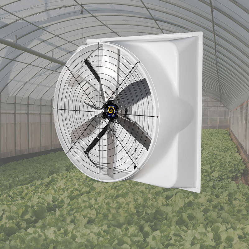 Ventilatore di scarico da 55 pollici ad alto volume Ventilatore industriale di grandi dimensioni con lame in lega Ventilatore di ventilazione per la precisione della gestione del clima nel pollame e nelle aziende agricole