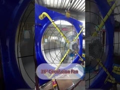 Efficienza Ventilazione del bestiame Ventilatore a corrente continua Motore silenzioso Funzionamento Conchiglia in acciaio galvanizzato