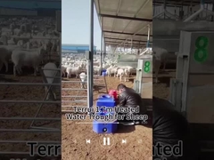 Conservazione del calore Serbatoio idrico per il bestiame per un approvvigionamento idrico affidabile Capacità 200 kg