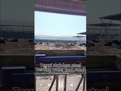 Modalità di controllo della temperatura 15-40C vassoio per la bevanda delle mucche con 3 serie di dischi di riscaldamento 220V300W