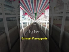 Volume Ventilatore di scarico industriale 72 pollici Diametro della lama Grado di protezione IP55