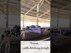 LLDPE acquaio automatico per il bestiame con 3 serie di dischi di riscaldamento 220V300W per bovini