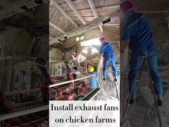 Velocità variabile 120cm REFINE Ventilatore di scarico 56,4m3/h Volume d'aria 48000m3/h Capacità di flusso d'aria