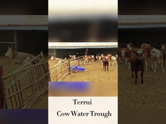 Aguaio automatico per bestiame con altezza di bevanda di 250 mm e portata di LLDPE