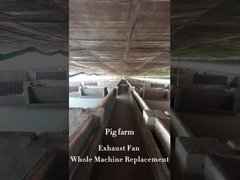 IP55 Ventilatori di scarico per incendio industriale per l'installazione di tubi da 60 mm