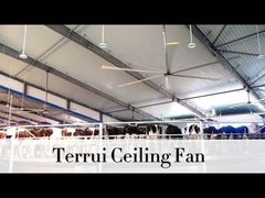 9.53 m3/min Flusso d'aria Ventilatore di soffitto industriale 14300 m3/min Max Output