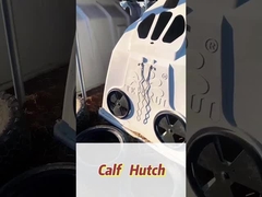 Cucine per vitelli da latte in polietilene bianco rettangolare isolato