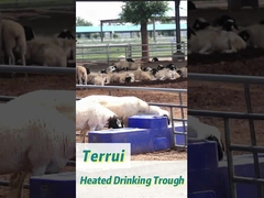 Serbatoio di acqua per animali da allevamento in plastica blu resistente alla corrosione 85L