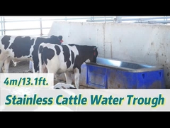 Serbatoio per acqua da allevamento in polietilene resistente agli urti per carico pesante con portata di 30-50L/min