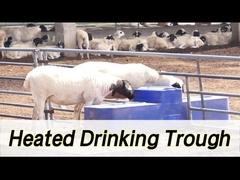 Aguaiole ad alta capacità con una capacità di 260 litri e un'altezza di 190 mm