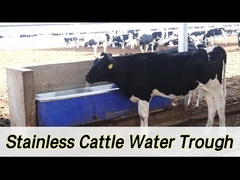 2 set di 1800W regolabile riscaldamento bestiame automatico annaffiatore con portata di 100-120L/min