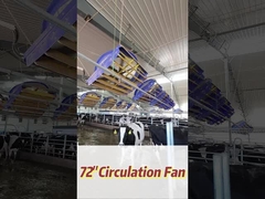 Ventilatore di circolazione a azionamento diretto di tipo industriale 72/183 cm