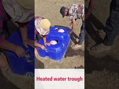 50L/min Tasso di flusso Agua automatica per bestiame