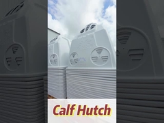 Dozzine o centinaia di chili di vitello bianco da latte con facile installazione