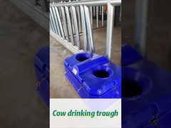 Aguaio per mucche ad alto flusso per un facile irrigazione ad un'altezza di 450 mm