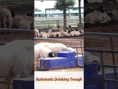 Capacità di produzione agricola