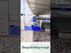 Capacità di 60 litri, vasca da bere per mucche 170*48*46 cm Ideale per grandi greggi