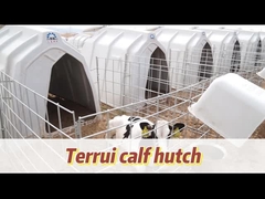 Casella ventilata per vitelli