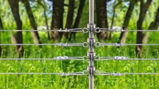 Proteggi il tuo bestiame: come installare gli isolatori con montanti a T sulla recinzione elettrica