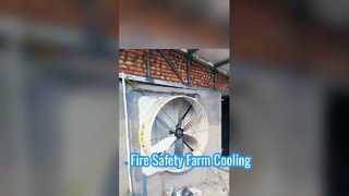 Ventilazione ad alta velocità: aspiratori industriali Terrui in azione