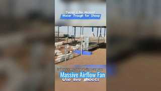 Abbeveratoio riscaldato per bestiame da 1,7 m realizzato in resistente involucro di plastica per resistere a condizioni di freddo estremo